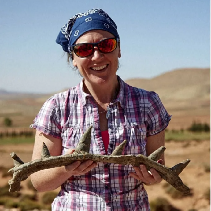 Scoperto un fossile di “dinosauro punk”: “Riscrive la storia dell’evoluzione”. Ecco cos’è lo Spicomellus