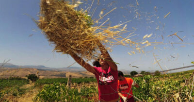 Copertina di Mettere insieme natura e storia: viaggiare nei luoghi della mafia come risposta all’overtourism