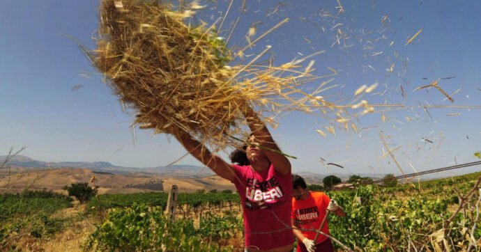 Mettere insieme natura e storia: viaggiare nei luoghi della mafia come risposta all’overtourism