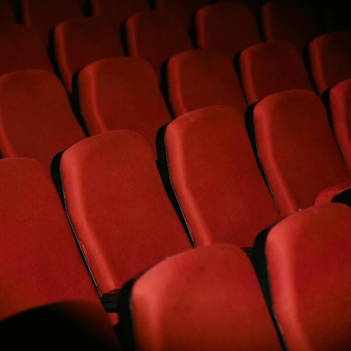 “Ogni tanto i cani in sala bisticciano ma non abbiamo mai dovuto dividerli. È già abbastanza avere a che fare con gli umani”: è boom di cinema dog friendly