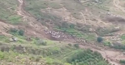 Copertina di Frana “enorme e devastante” in Darfur, almeno mille morti: appello alle Nazioni Unite per recuperare salme e dispersi