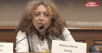 Copertina di Gaza, gli attivisti della Global Flotilla: “Governo ci tuteli”. Pd, M5s e Avs: “Meloni in silenzio, Tajani sembra un passante”