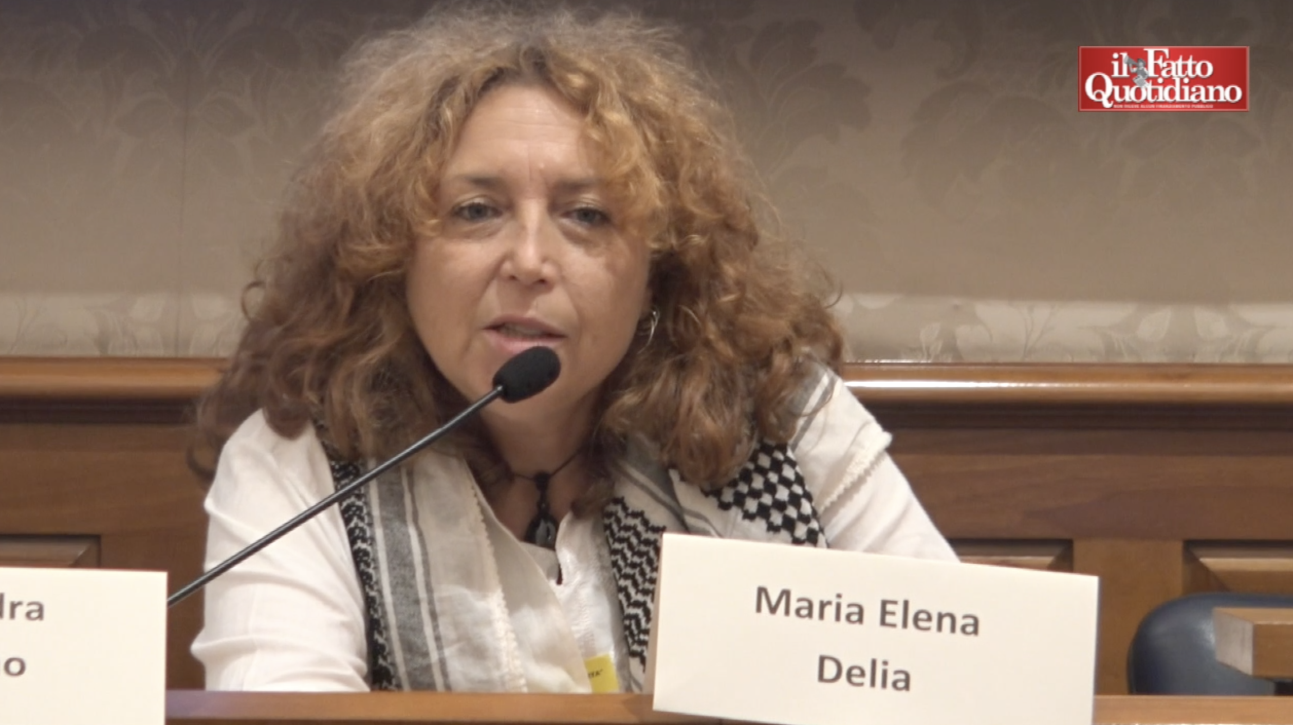 gaza gli attivisti della global flotilla governo ci tuteli pd m5s e avs meloni in silenzio tajani sembra un passante