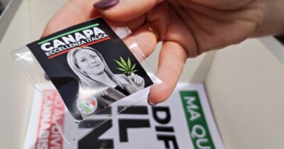 Copertina di Cannabis light, il bluff del decreto Sicurezza: “Sequestri in calo, ma imprenditori spaventati”. 3 su 10 hanno chiuso bottega