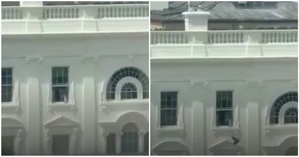 “Questo video è stato generato con l’AI”: così Trump commenta il video virale su un oggetto misterioso lanciato da una finestra della Casa Bianca