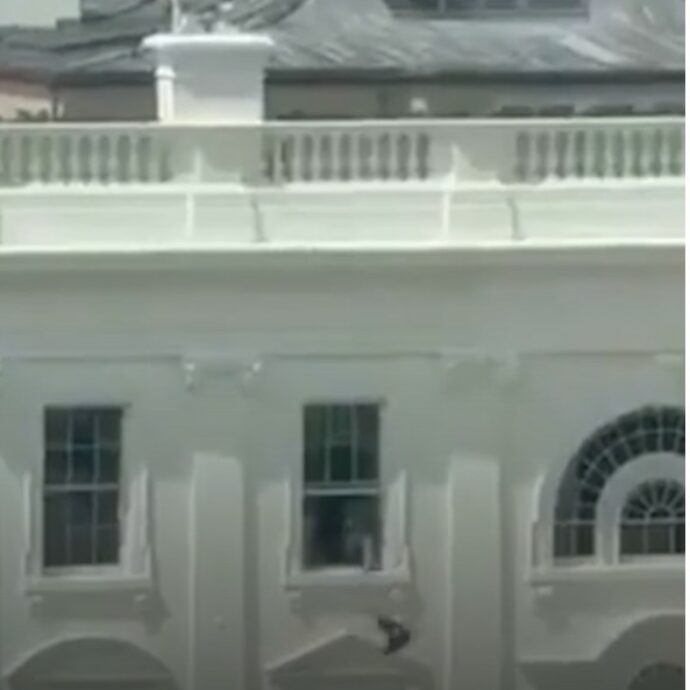 “Questo video è stato generato con l’AI”: così Trump commenta il video virale su un oggetto misterioso lanciato da una finestra della Casa Bianca