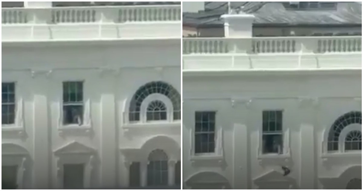 “Questo video è stato generato con l’AI”: così Trump commenta il video virale su un oggetto misterioso lanciato da una finestra della Casa Bianca “Questo video è stato generato con l’AI”: così Trump commenta il video virale su un oggetto misterioso lanciato da una finestra della Casa Bianca