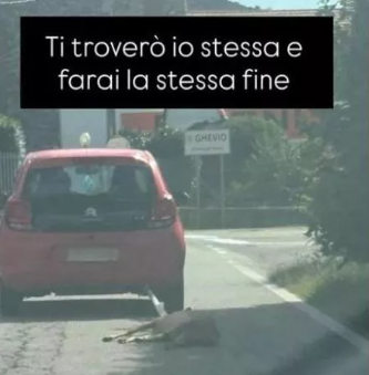 Trascina capriolo morto con l’auto e lo abbandona nel bosco: denunciato dalla Procura di Verbania Trascina capriolo morto con l’auto e lo abbandona nel bosco: denunciato dalla Procura di Verbania