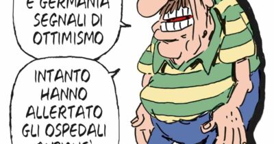 Copertina di La vignetta di Franzaroli