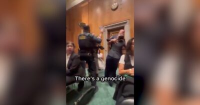 Copertina di “Siete complici del genocidio a Gaza”, la clamorosa protesta di due veterani Usa in Senato: la polizia li trascina via – Video
