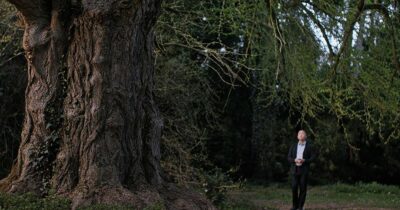 Copertina di Venezia 2025, Silent Friend: film girato in tre formati diversi per ogni anno raccontato