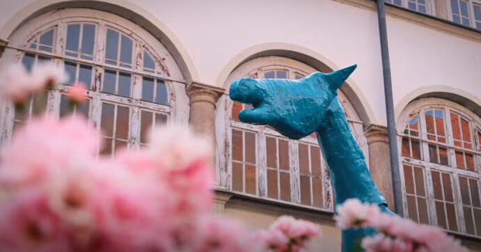 “Cpr peggio dei manicomi”, al via il viaggio di Marco Cavallo contro le “nuove istituzioni totali”