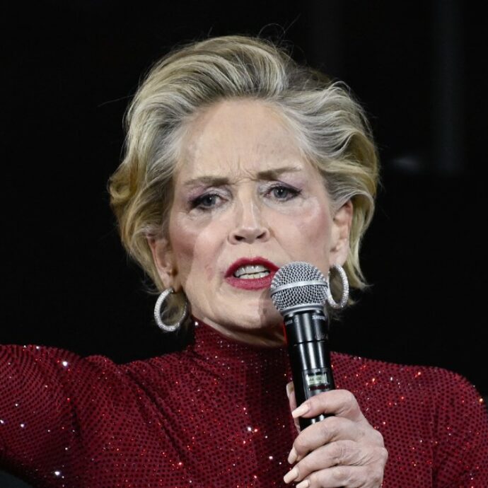 “Mettete giù quei fottuti telefoni e abbracciatevi”: Sharon Stone sbotta durante il gala dei vip