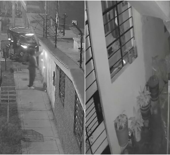 “Ha spento la miccia con il muso impedendo che la dinamite esplodesse, ci ha salvato la vita”: cane-eroe salva il suo padrone giornalista da un attentato in casa