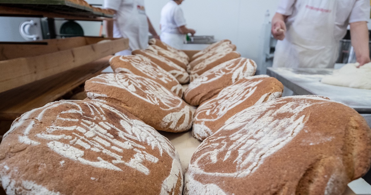 sindaco perde il suo lavoro a un anno dalla pensione assunto in una panetteria