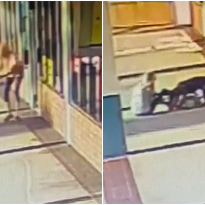 Morde un pitbull al collo per salvare il suo cane dalla violenta aggressione: il video choc