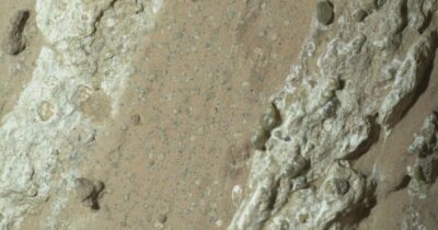 Copertina di Mamma li marziani! Va bene cercarli ma poi torniamo a studiare la Terra