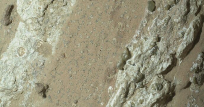 Mamma li marziani! Va bene cercarli ma poi torniamo a studiare la Terra