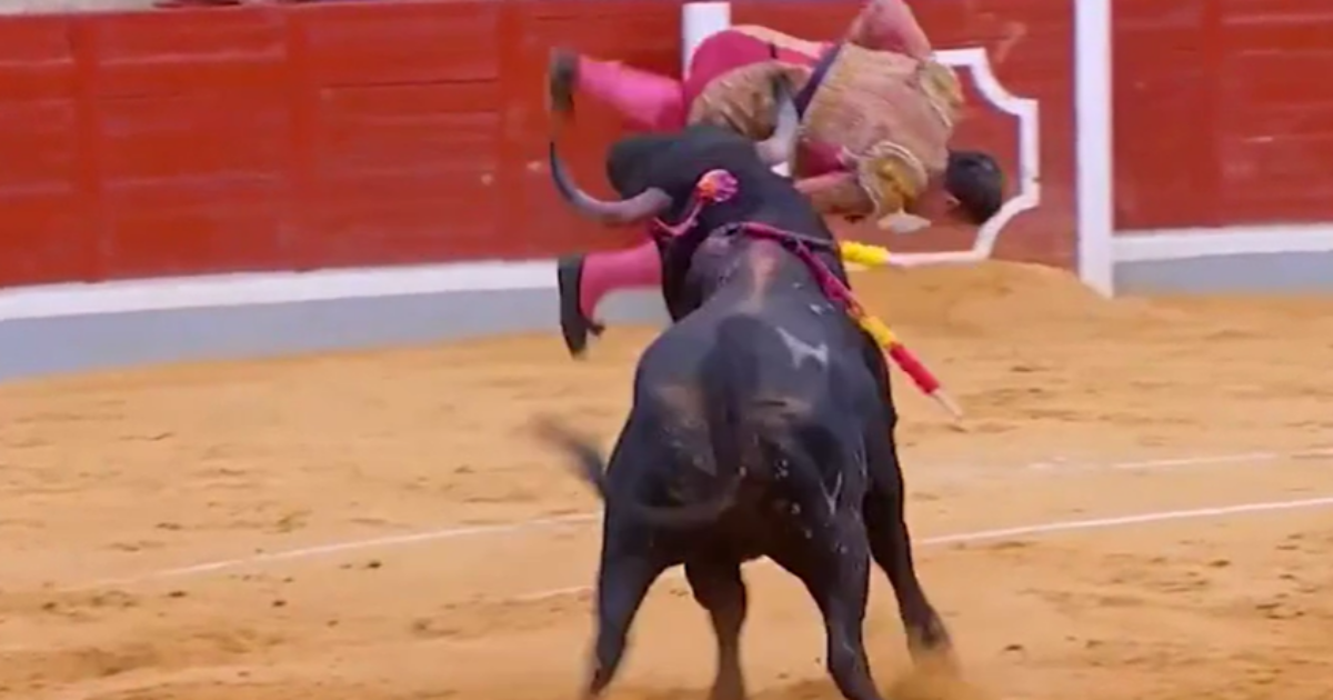 Matador portoghese incornato e scaraventato a terra da un toro a Toledo, durante la Corrida – IL VIDEO