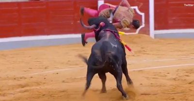 Copertina di Matador portoghese incornato e scaraventato a terra da un toro a Toledo, durante la Corrida – IL VIDEO