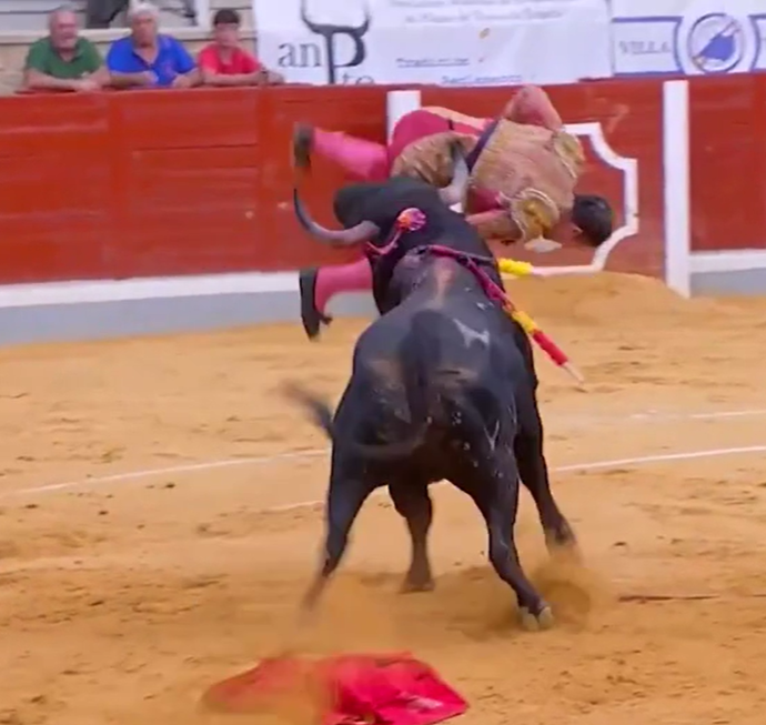 Matador portoghese incornato e scaraventato a terra da un toro a Toledo, durante la Corrida – IL VIDEO