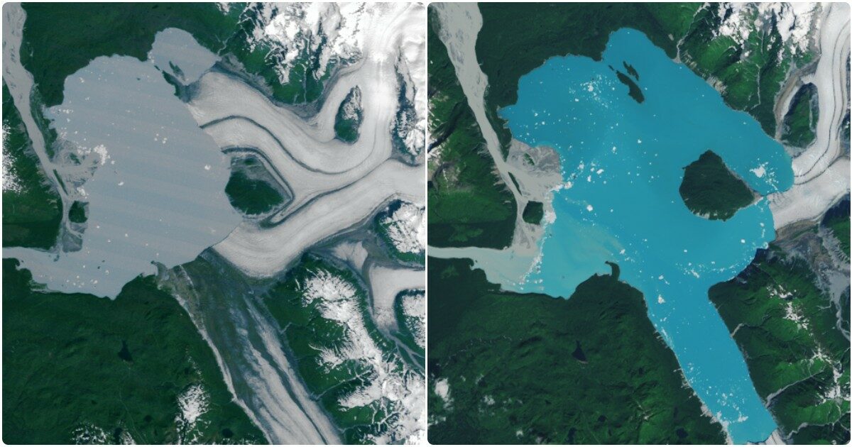 Il ghiacciaio si è sciolto e fa emergere una “nuova” isola in Alaska. Le immagini della Nasa