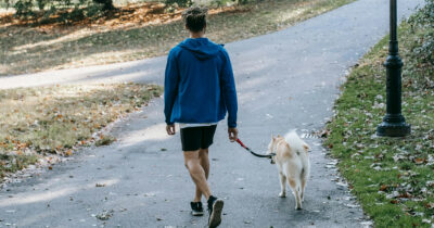 Copertina di Tenta di strangolare il figlio e dà fuoco alla casa: ragazzino salvato dal suo cane