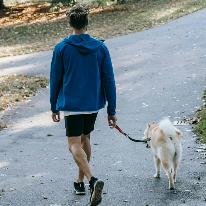 Tenta di strangolare il figlio e dà fuoco alla casa: ragazzino salvato dal suo cane