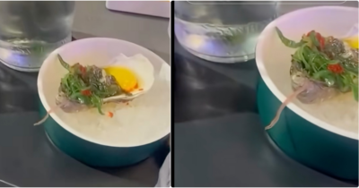 Copertina di “Andiamo via, non mangio più”: trovano un verme nell’ostrica al sushi, ma i proprietari si difendono: “Non è pericoloso, vuol dire che le ostriche sono fresche”