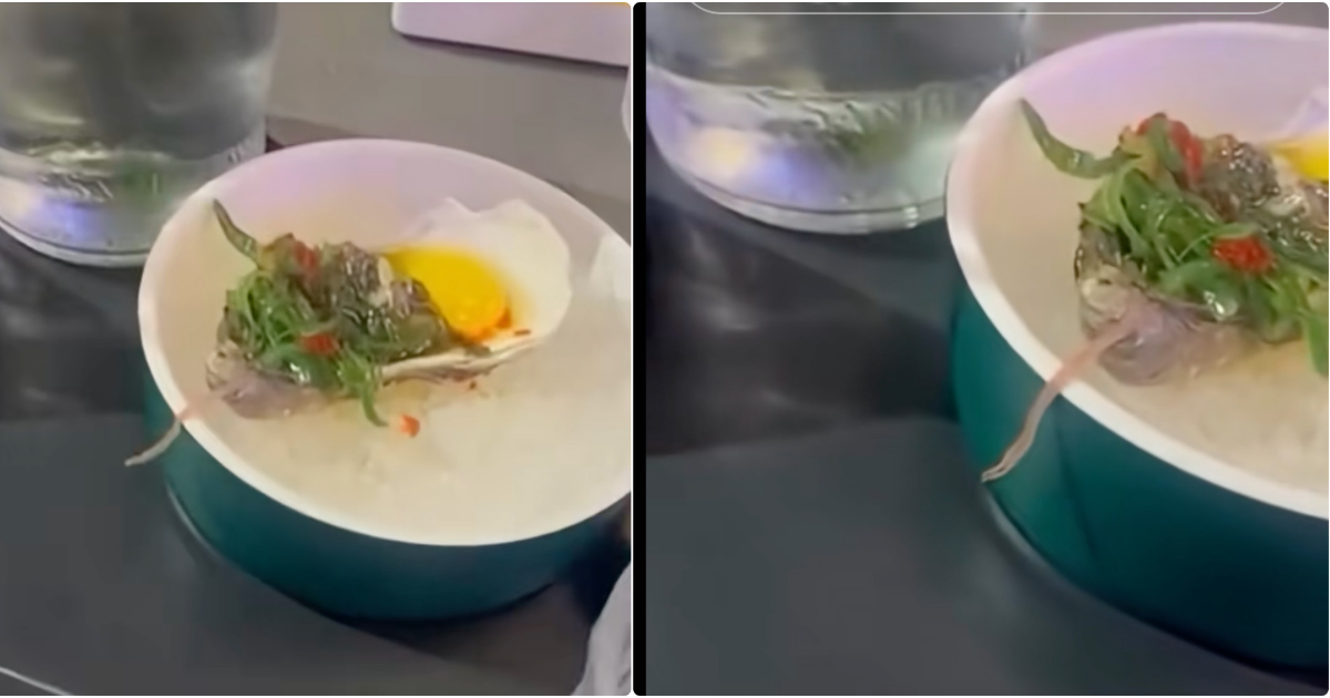 andiamo via non mangio pi249 trovano un verme nell8217ostrica al sushi ma i proprietari si difendono non 232 pericoloso vuol dire che le ostriche sono fresche