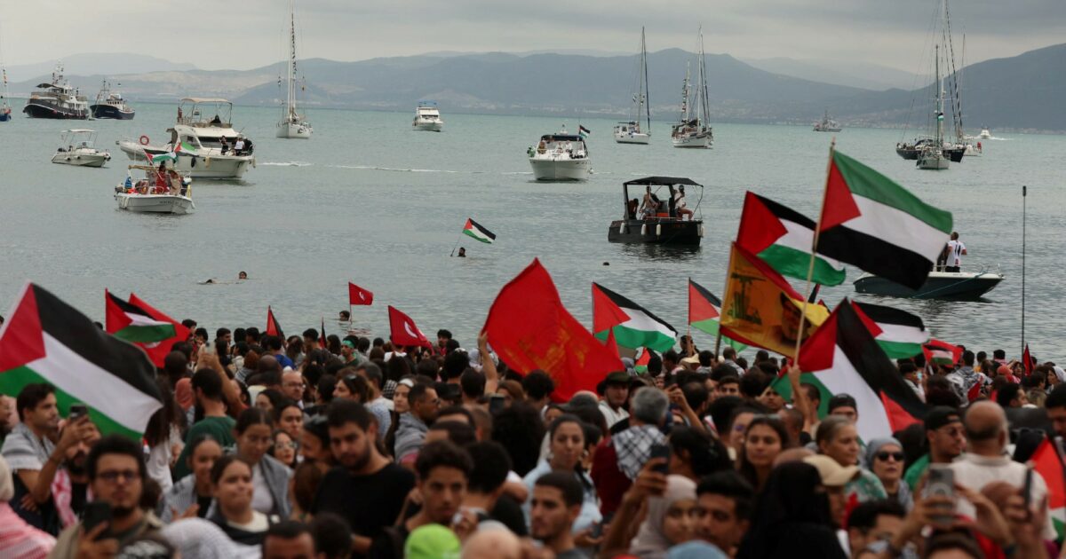 global sumud flotilla grazie il mare non dimentica