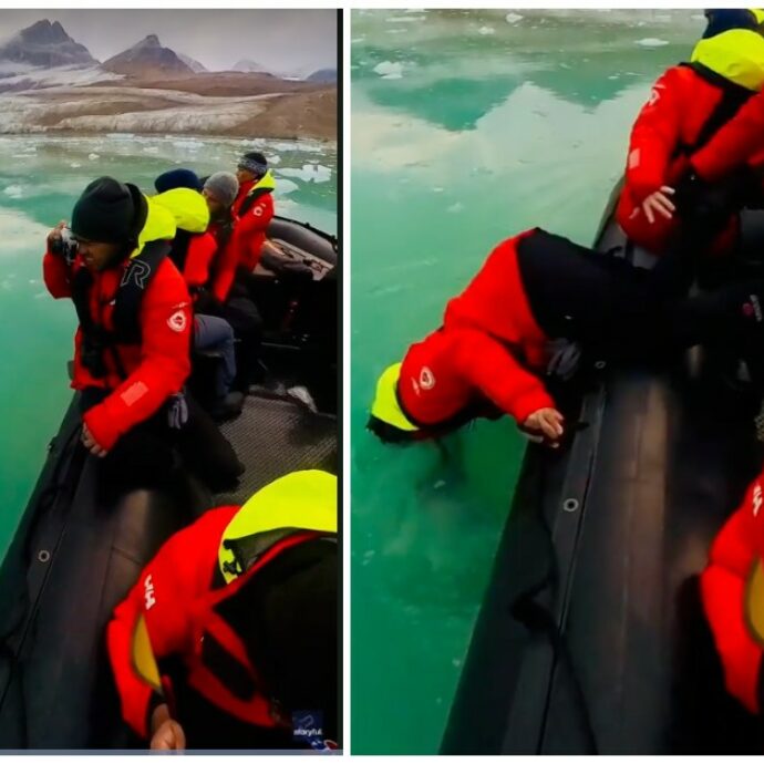 Gli cade il telefono in mare mentre scatta una foto tra i ghiacci, turista si tuffa nell’Artico per recuperarlo: salvato in extremis dai presenti