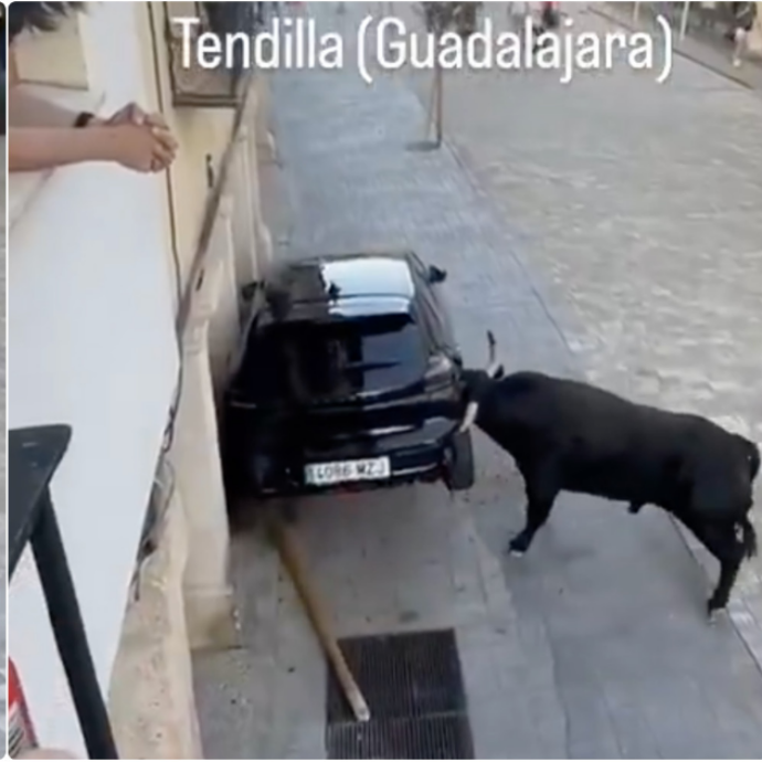 Toro prende a testate l’auto e la solleva sbattendola contro il muro: panico durante la festa di paese – VIDEO