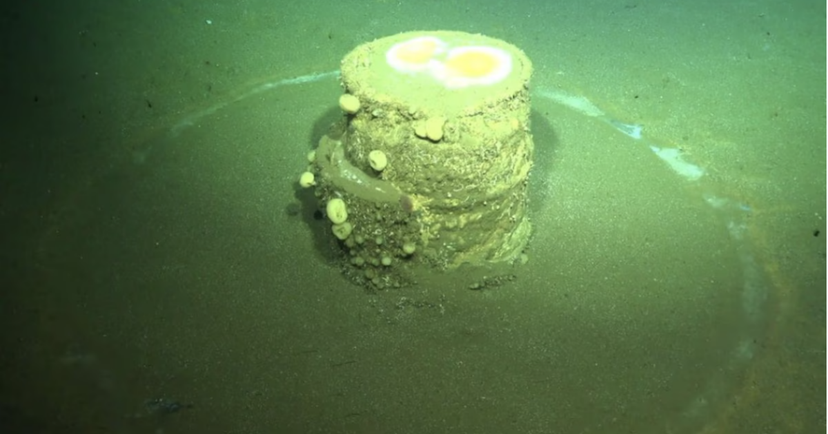 Misteriosi anelli bianchi appaiono nell’oceano: “Generati da barili tossici che si sono fusi col fondale, rimuoverli scatenerà il veleno”. L’allarme dei ricercatori