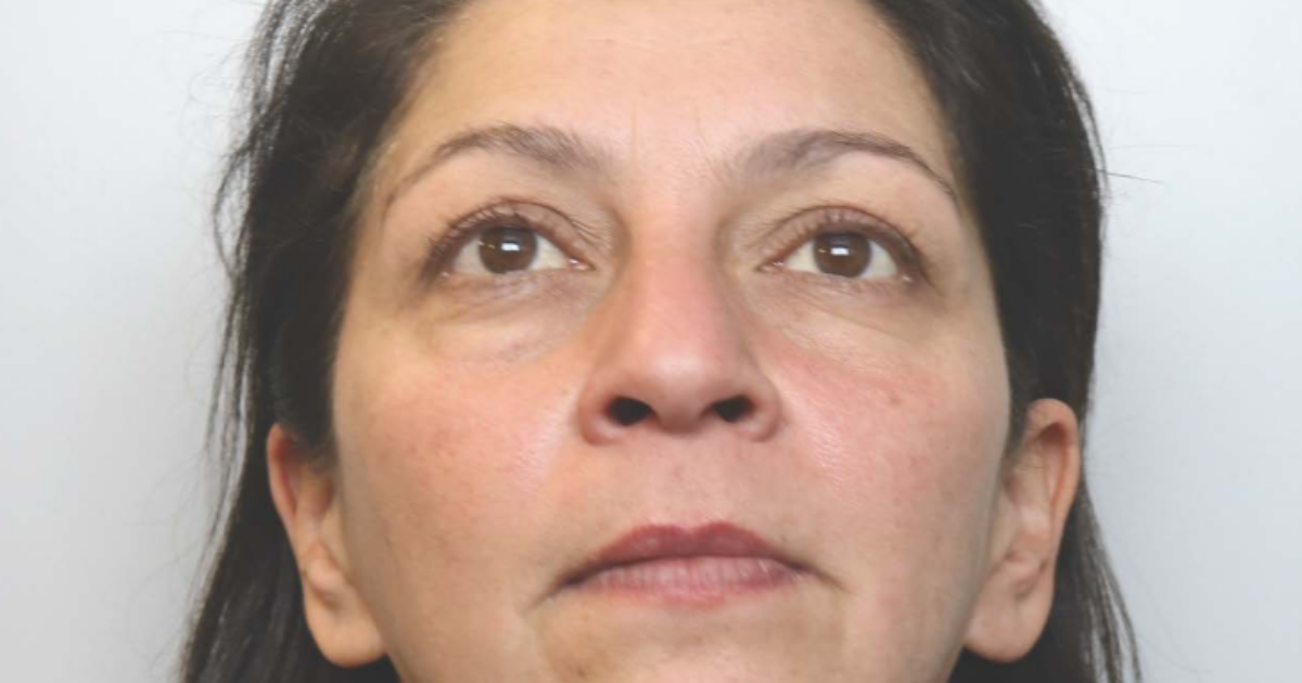 “Ha ucciso da ubriaca il cane di suo figlio con una spada da samurai, la sua crudeltà è ripugnante”: 54enne condannata a 18 mesi di carcere