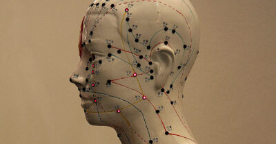 Copertina di Lo scambiano per un manichino e resta schiacciato dai rifiuti: uomo muore dentro un camion della spazzatura