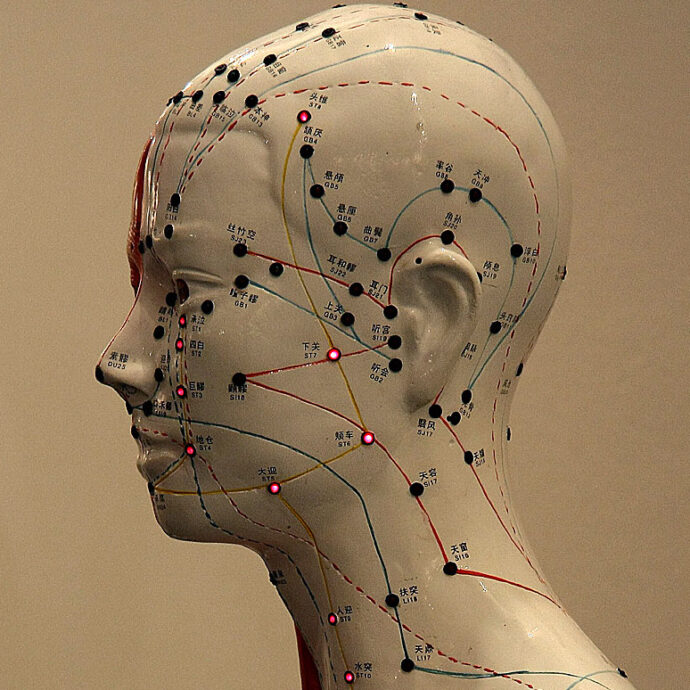 Lo scambiano per un manichino e resta schiacciato dai rifiuti: uomo muore dentro un camion della spazzatura