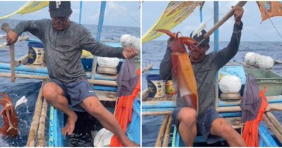 Copertina di “Ha mirato benissimo”: pescatore cattura un calamaro gigante ma l’animale si ribella e lo inonda di inchiostro – VIDEO