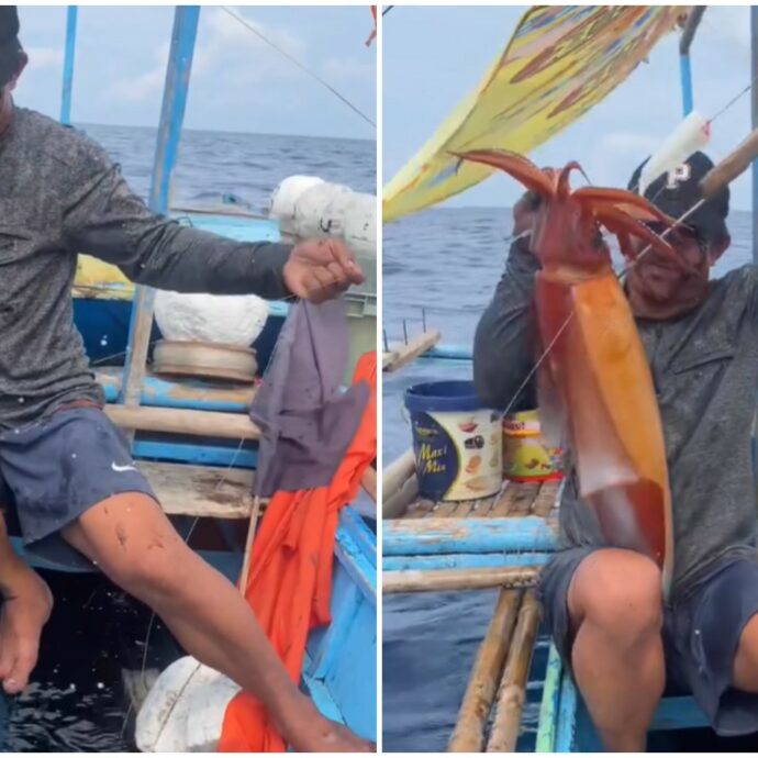 “Ha mirato benissimo”: pescatore cattura un calamaro gigante ma l’animale si ribella e lo inonda di inchiostro – VIDEO