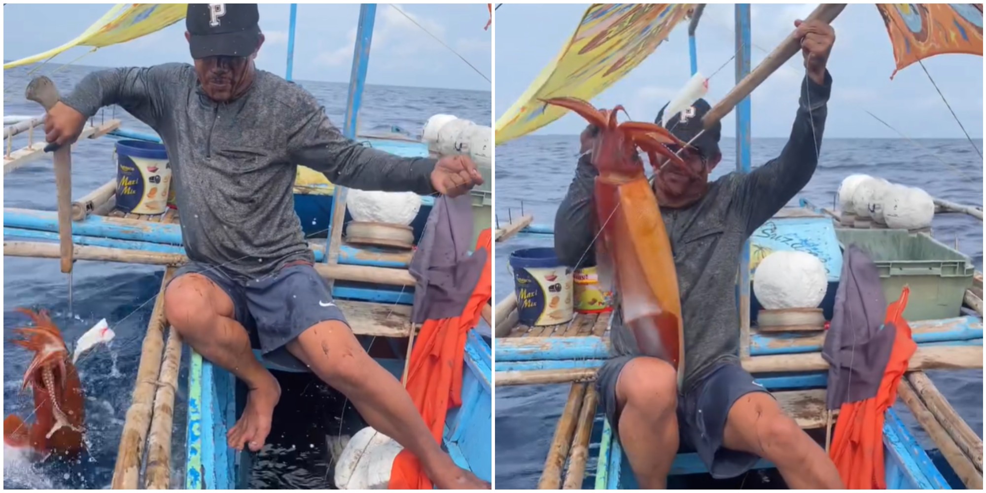“Ha mirato benissimo”: pescatore cattura un calamaro gigante ma l’animale si ribella e lo inonda di inchiostro – VIDEO “Ha mirato benissimo”: pescatore cattura un calamaro gigante ma l’animale si ribella e lo inonda di inchiostro – VIDEO