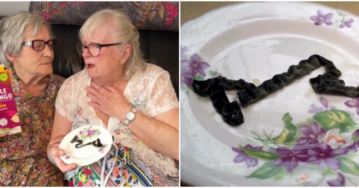 “Abbiamo trovato un serpente morto nel succo di frutta. È stato molto traumatico”: la denuncia di Betty e Julie alla Bbc “Abbiamo trovato un serpente morto nel succo di frutta. È stato molto traumatico”: la denuncia di Betty e Julie alla Bbc