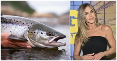 Copertina di Cos’è (e quanto costa) il “Salmon sperm facial”, il nuovo trattamento di bellezza con il Dna estratto dagli spermatozoi di salmone amato dalle star