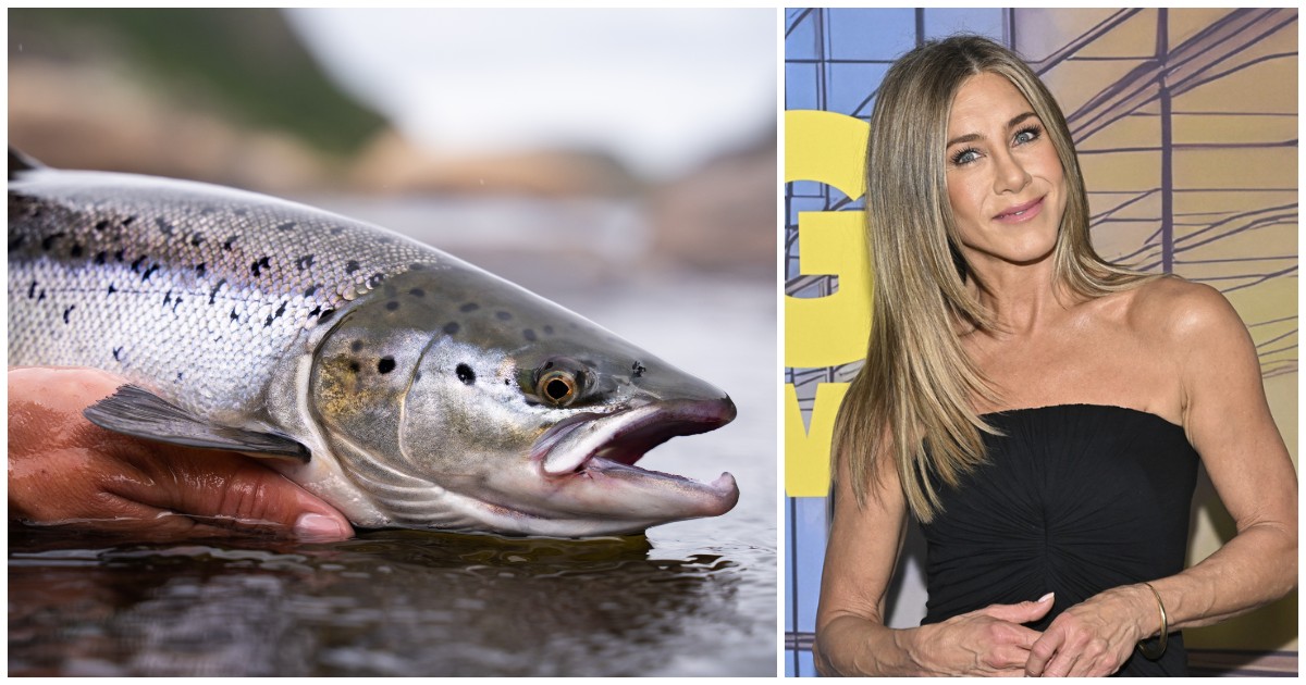 Cos’è (e quanto costa) il “Salmon sperm facial”, il nuovo trattamento di bellezza con il Dna estratto dagli spermatozoi di salmone amato dalle star Cos’è (e quanto costa) il “Salmon sperm facial”, il nuovo trattamento di bellezza con il Dna estratto dagli spermatozoi di salmone amato dalle star