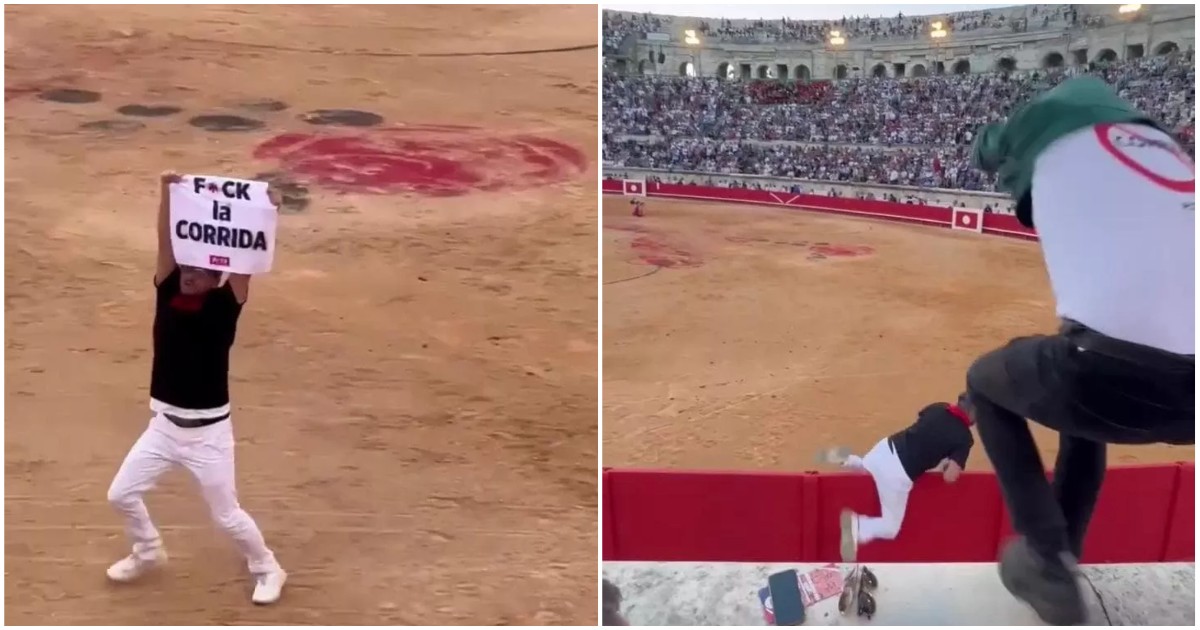 “Fanc**o la corrida”: l’influencer Jeremstar fa irruzione nell’arena dei tori e scatena il caos, arrestato “Fanc**o la corrida”: l’influencer Jeremstar fa irruzione nell’arena dei tori e scatena il caos, arrestato