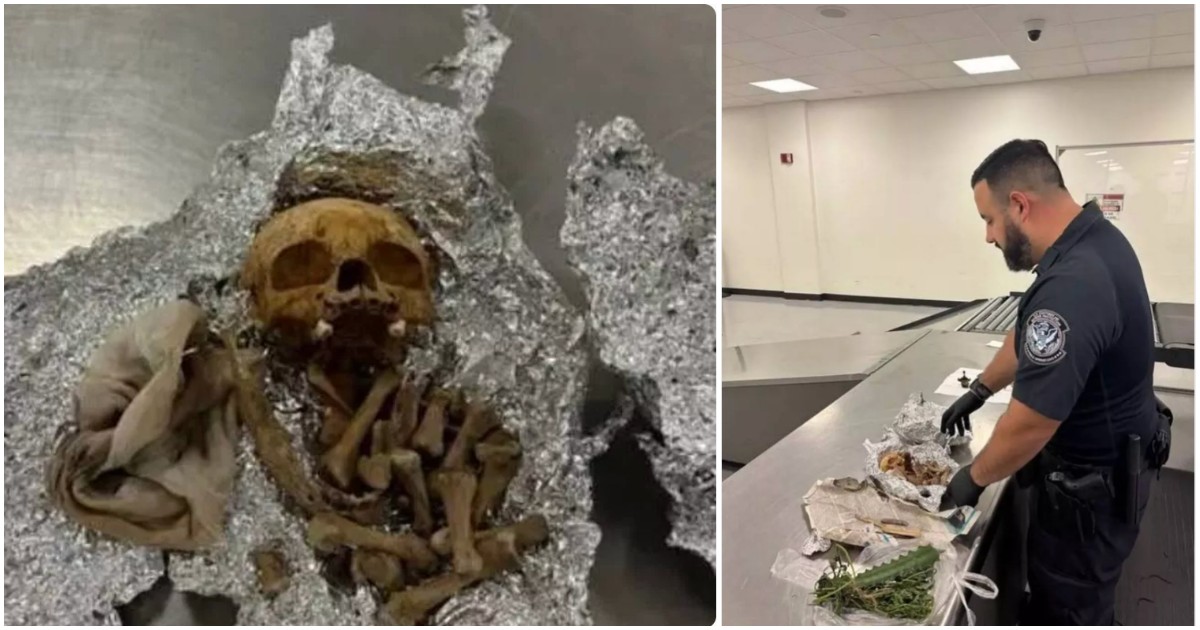 aveva un teschio e delle ossa umane in valigia diceva che erano per dei rituali la scoperta choc alla dogana in aeroporto