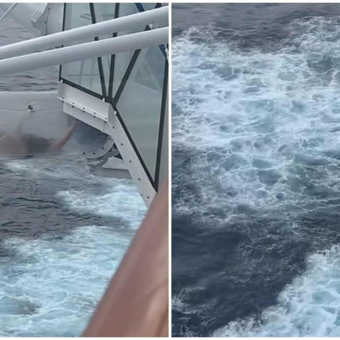 “Mi sembra di soffocare solo a guardare”: passeggera resta bloccata sullo scivolo della crociera e il video fa milioni di visualizzazioni su TikTok