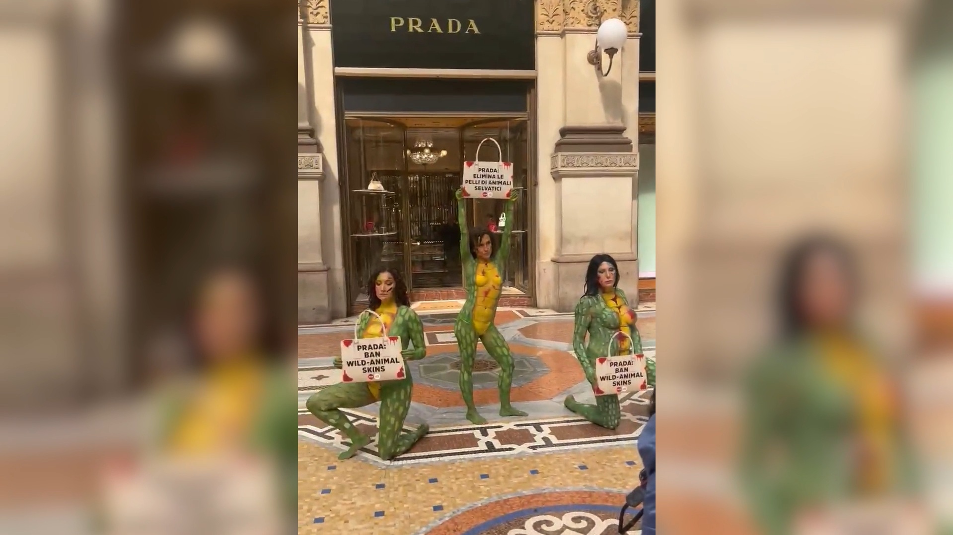 attiviste insanguinate e col corpo dipinto da serpente l8217azione di peta al negozio di prada stop pelli di animali selvatici