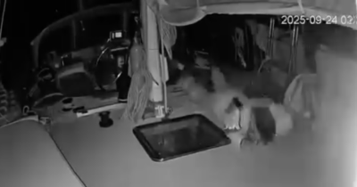 Copertina di Nuovo attacco alla Global Sumud Flotilla, il momento in cui viene colpita la nave Taigete: video