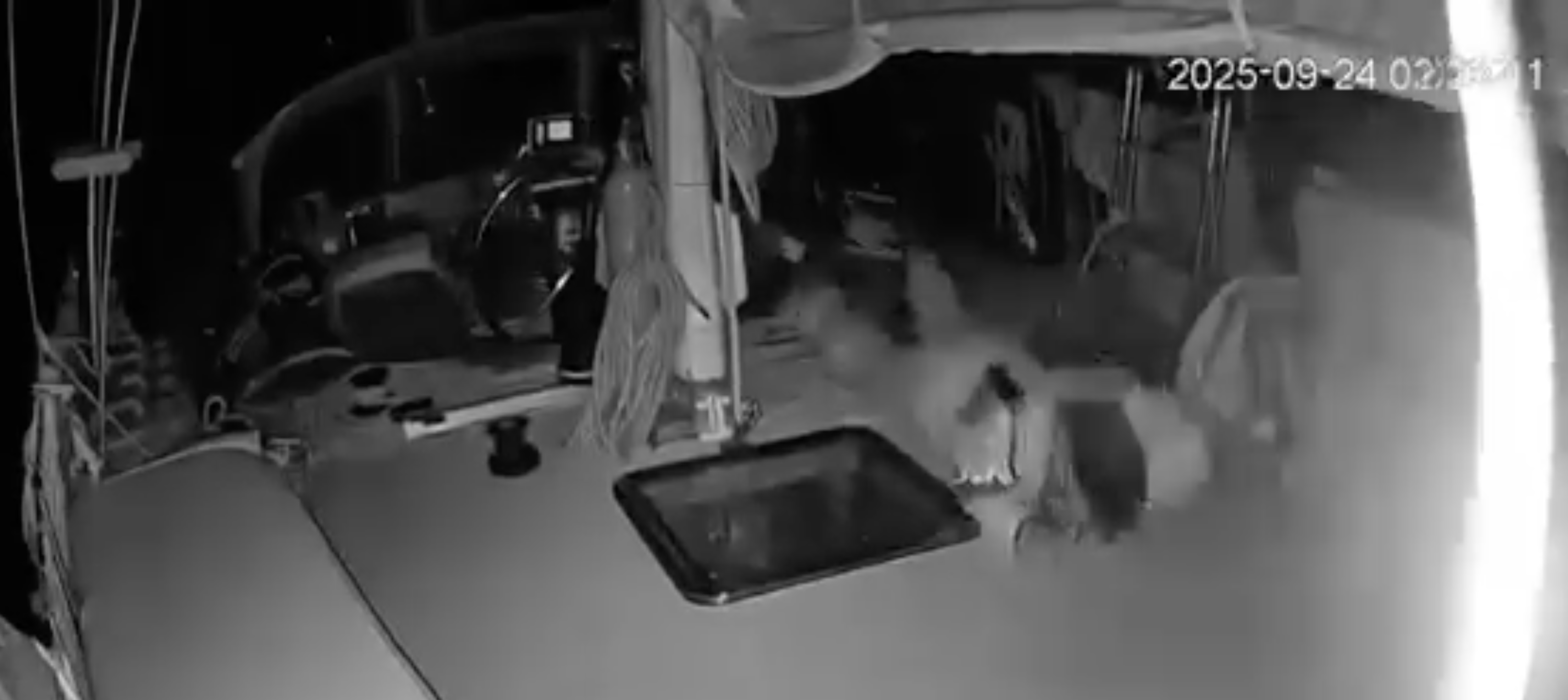 nuovo attacco alla global sumud flotilla il momento in cui viene colpita la nave taigete video
