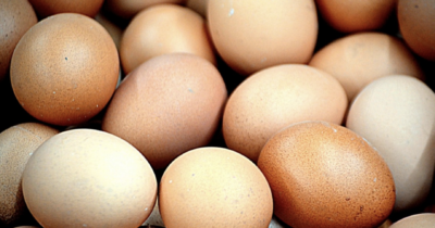 Copertina di Le uova vanno tenute in frigo o fuori? La risposta (definitiva?): “Vanno tenute nella loro confezione, in frigorifero e con la punta rivolta verso il basso. Ecco come mai”